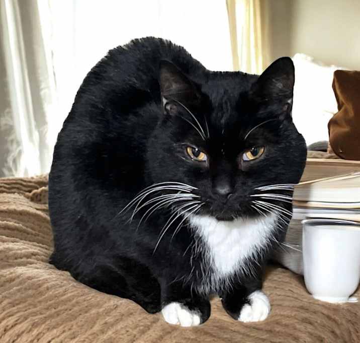 Photo of Double Stuff
