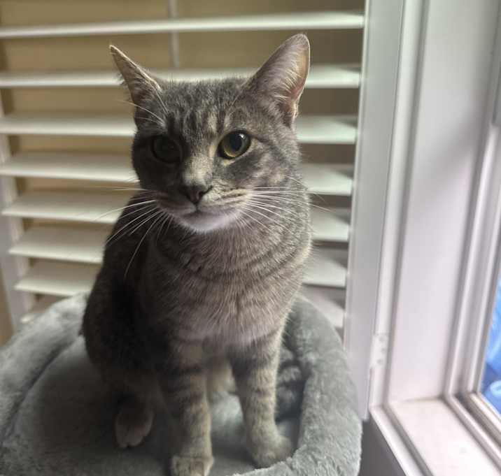 Photo of Akira
