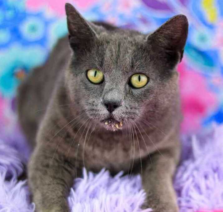 Photo of McLovin