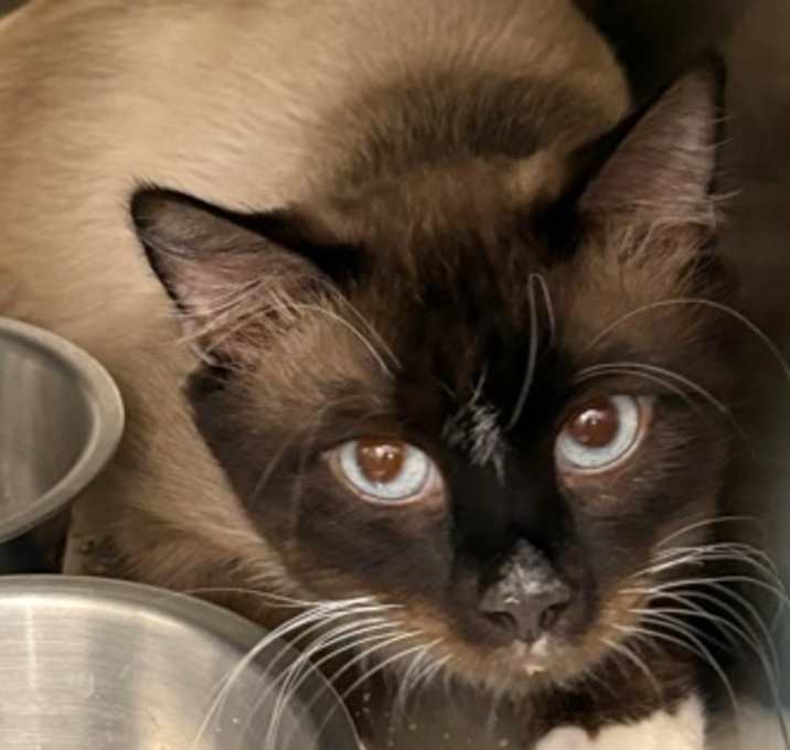 Photo of Jasper
