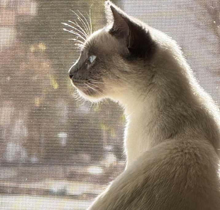Photo of Heidi