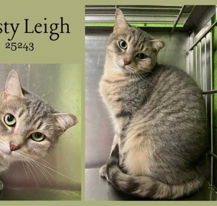 Photo of Dusty Leigh