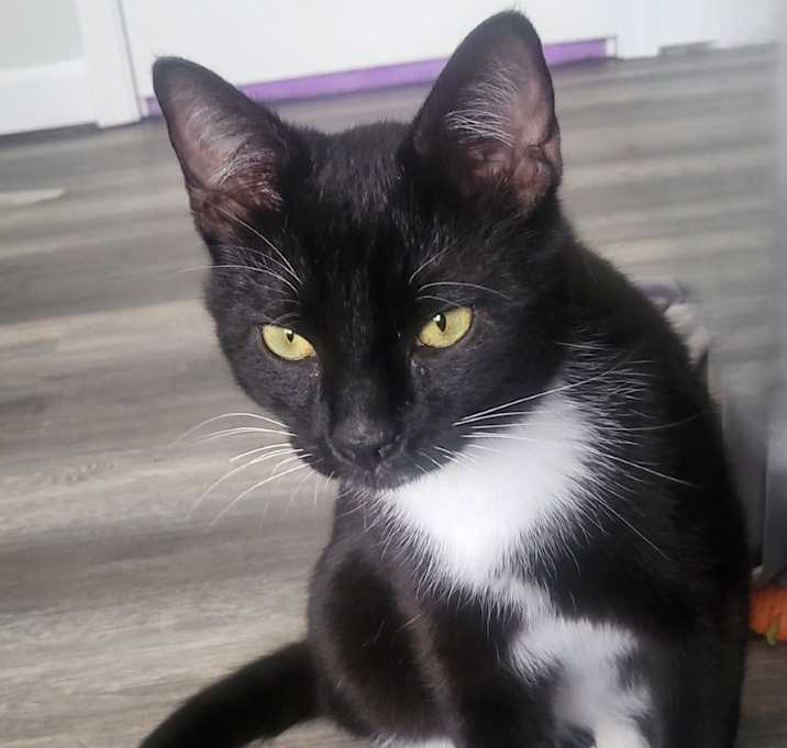 Photo of Thomas
