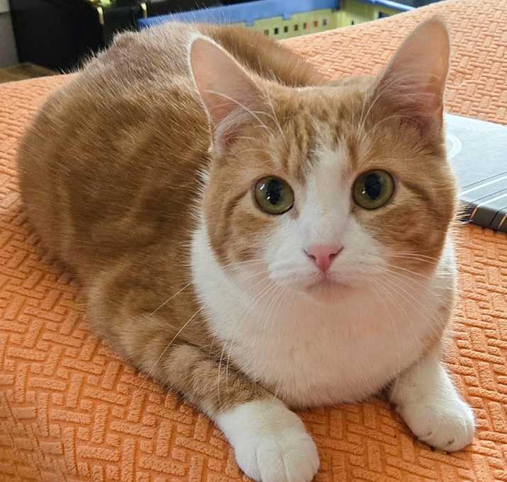 Photo of April