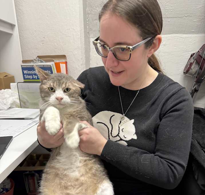 Photo of Gordo (FIV+FeLV+)