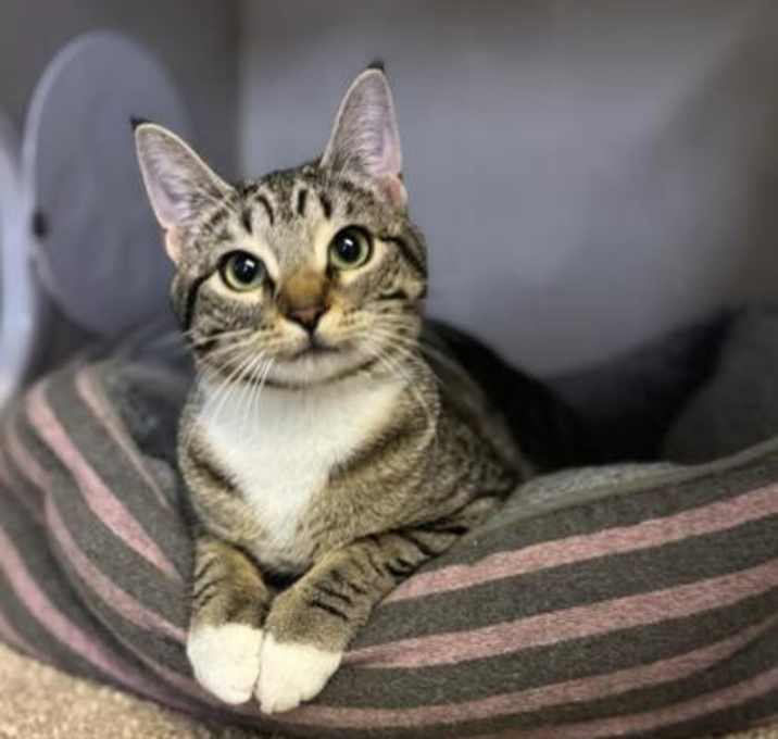 Photo of Birdie