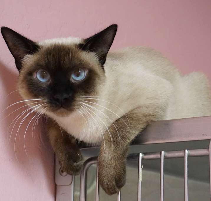 Photo of Echo