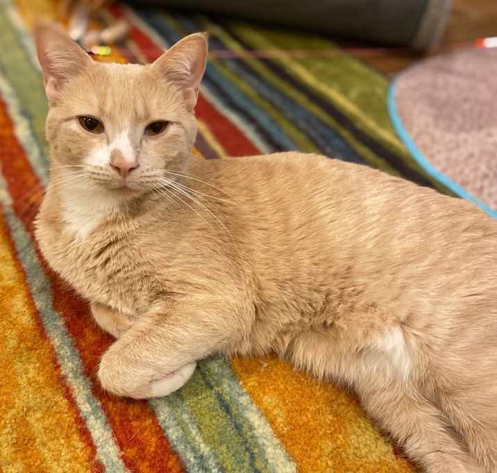 Photo of Sam