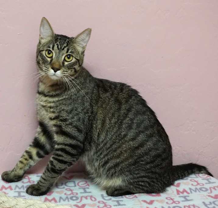 Photo of Ryu