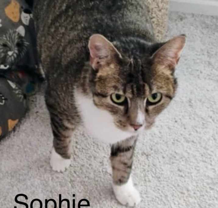 Photo of Sophie