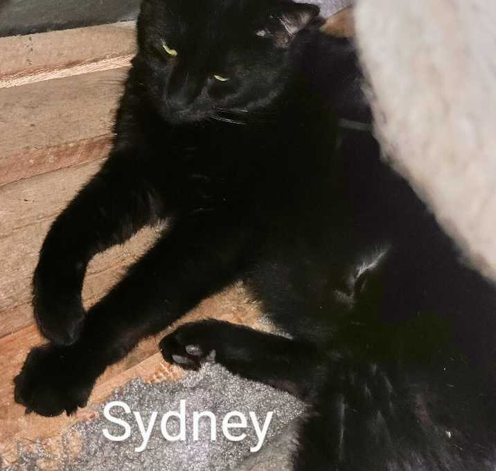 Photo of Sydney