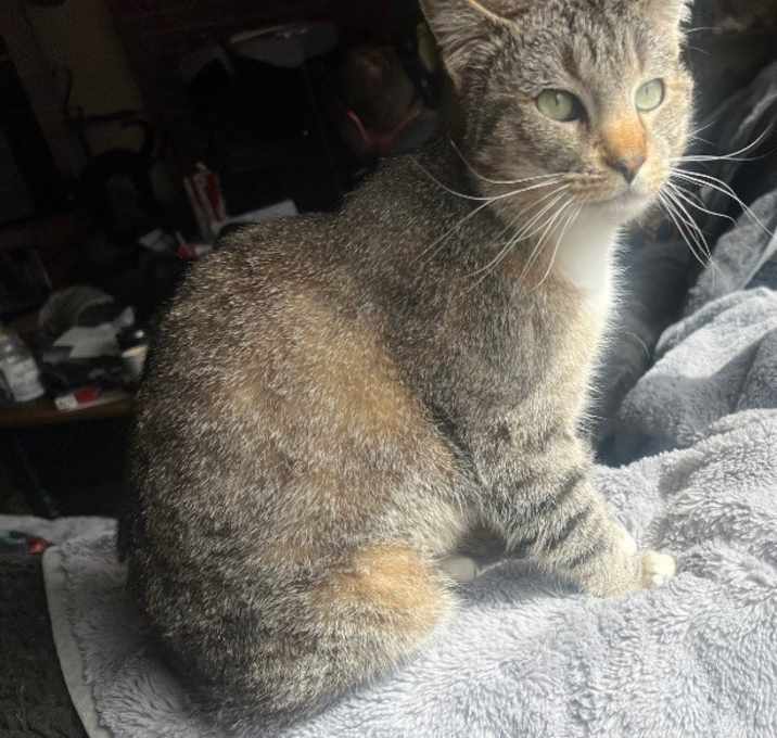 Photo of Penelope