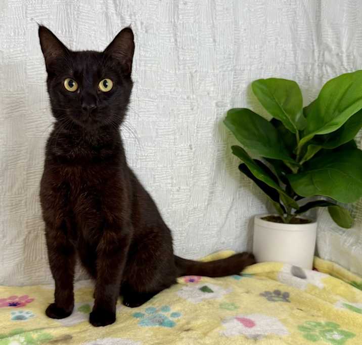 Photo of Klaus