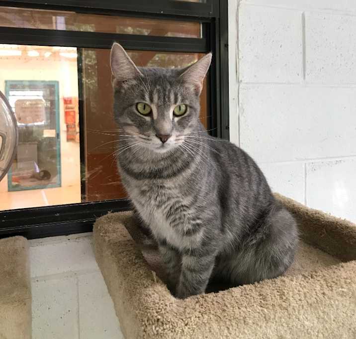 Photo of Jelly Bean
