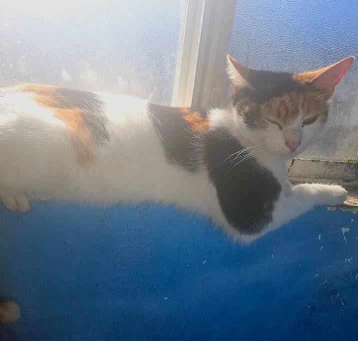 Photo of Celina