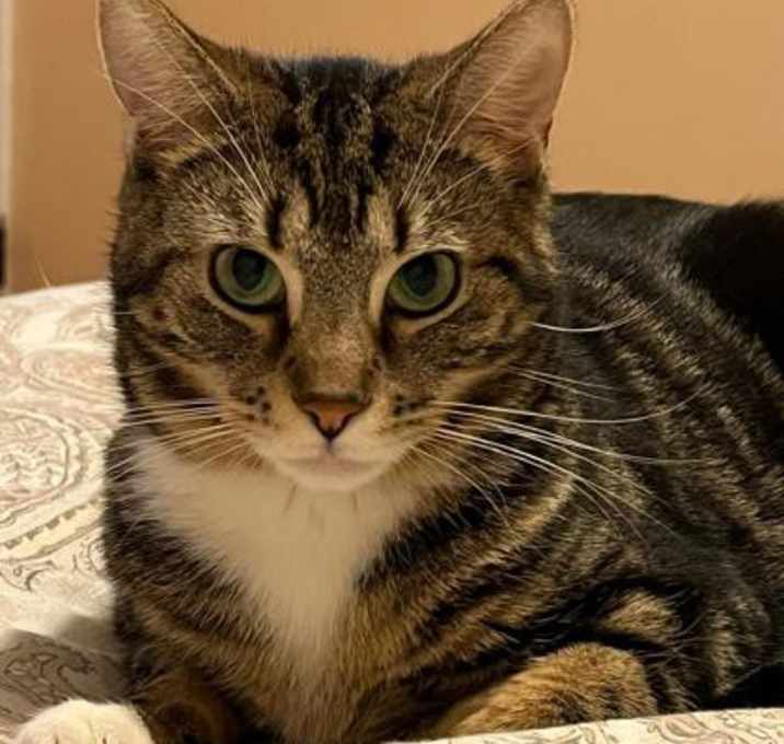 Photo of Fanny