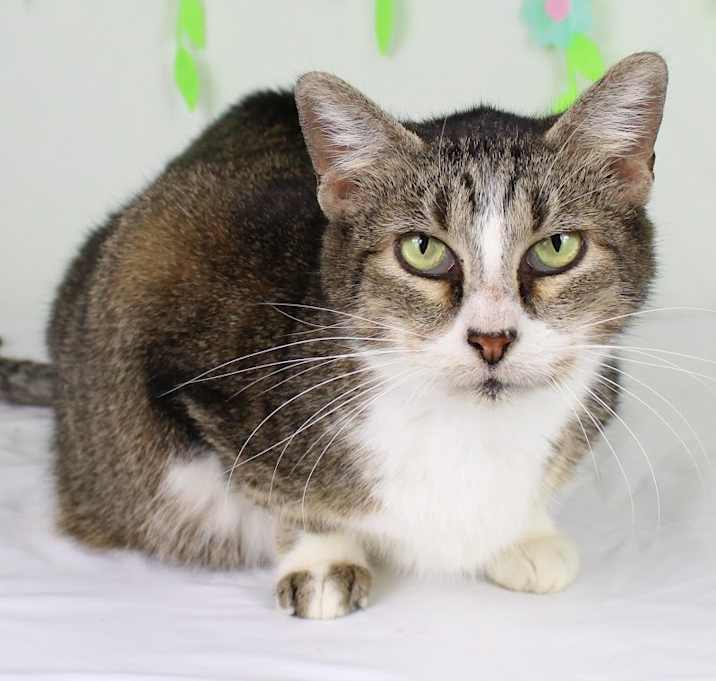 Photo of Margarita