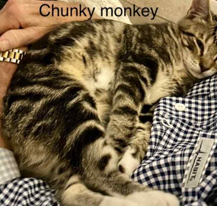 Photo of Chunky Monkey