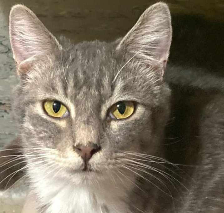 Photo of Fritz