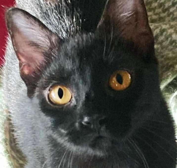 Photo of Prynne