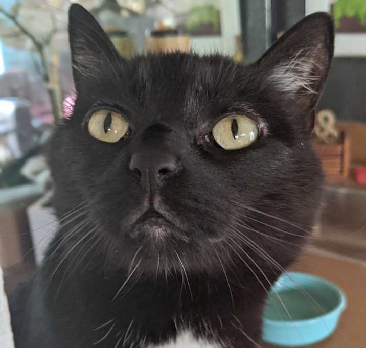 Photo of Windy