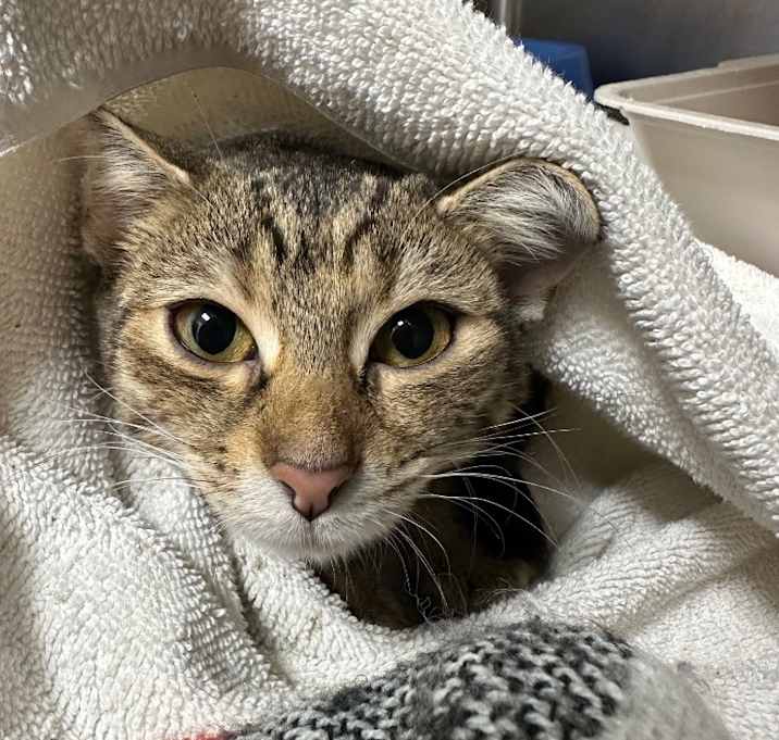 Photo of Bertha