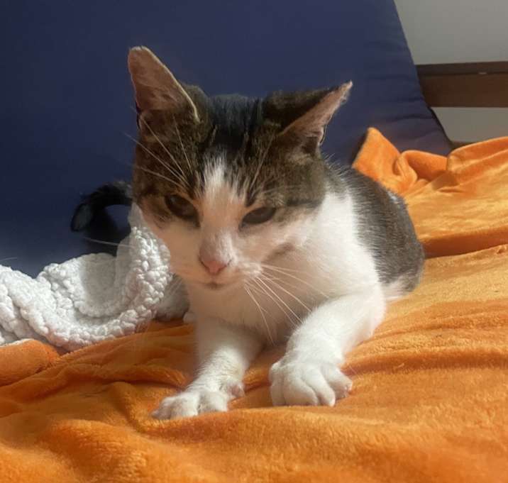 Photo of May