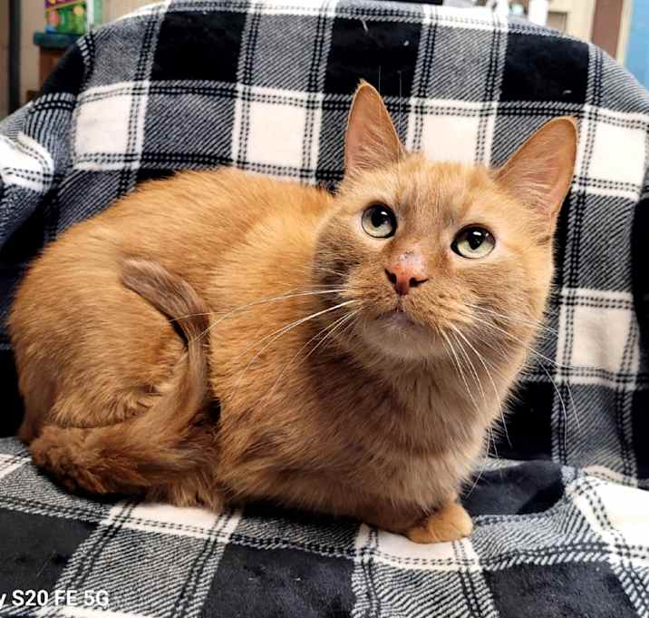 Photo of Jack