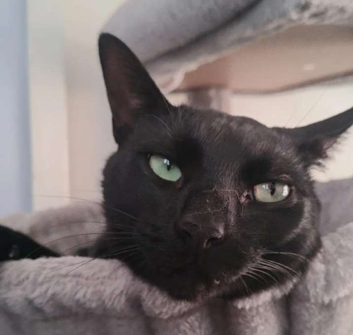 Photo of Devon