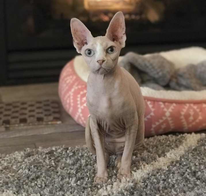 Photo of Katinka