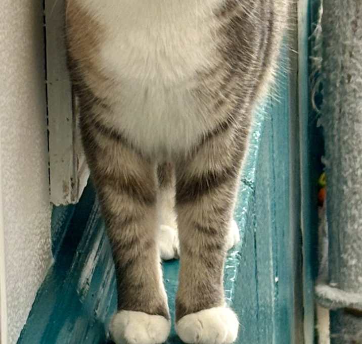 Photo of Evangeline