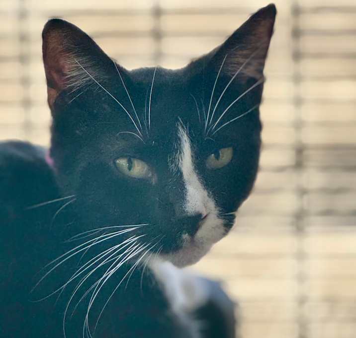 Photo of Samantha