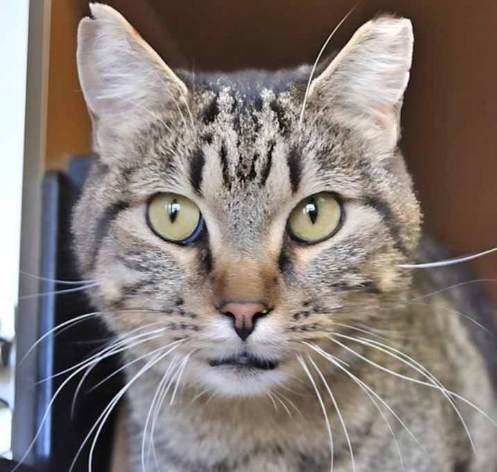 Photo of Lenny
