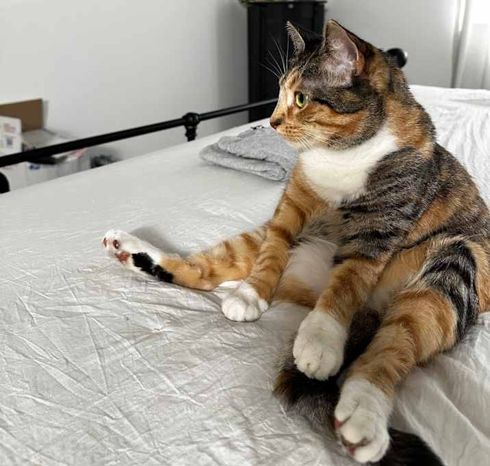 Photo of Penny
