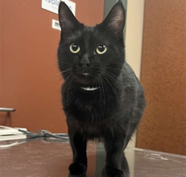 Photo of KIKI