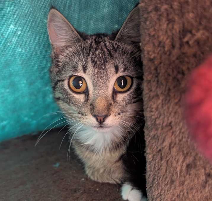 Photo of Sugar