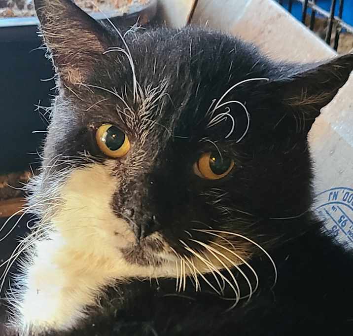 Photo of Thomas
