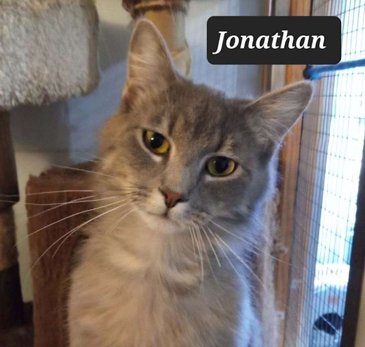 Photo of Jonathan