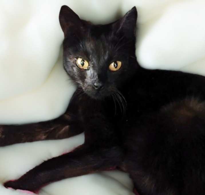 Photo of KIKI