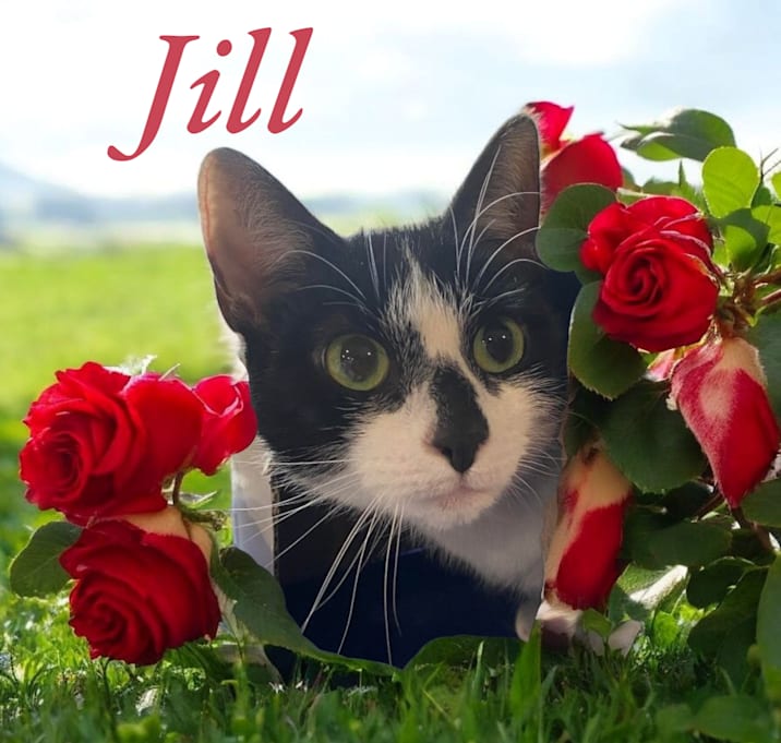Photo of Jill