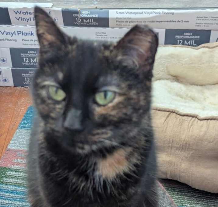 Photo of Morticia