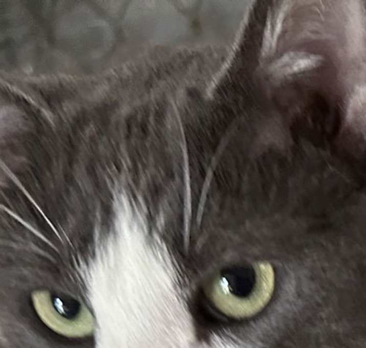 Photo of Timmy