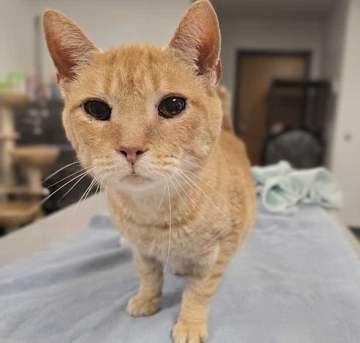 Photo of Bobbie