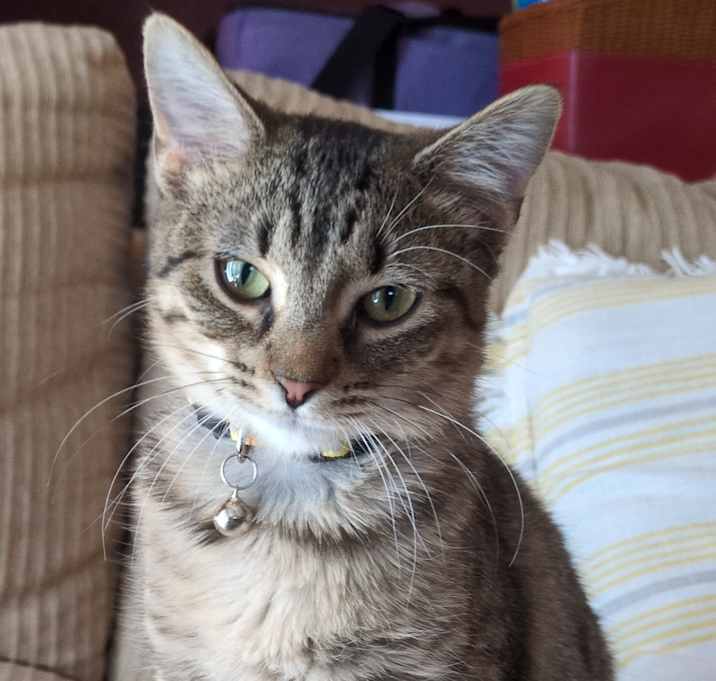 Photo of Betty