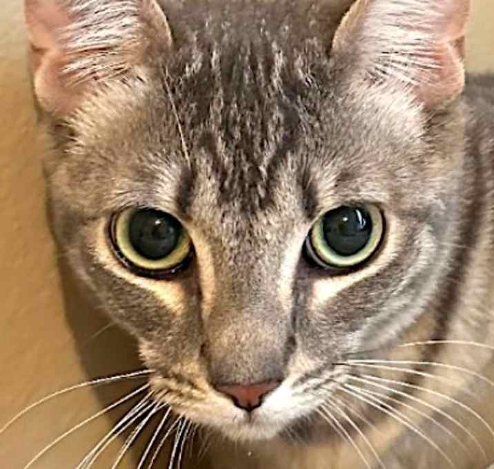 Photo of DOMY