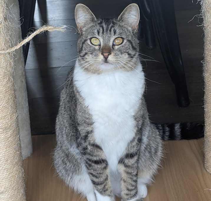Photo of Cheena