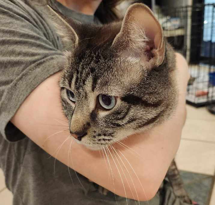 Photo of Zeus