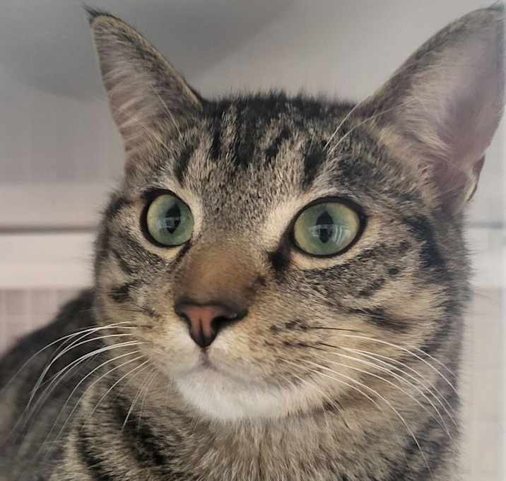 Photo of Maurice