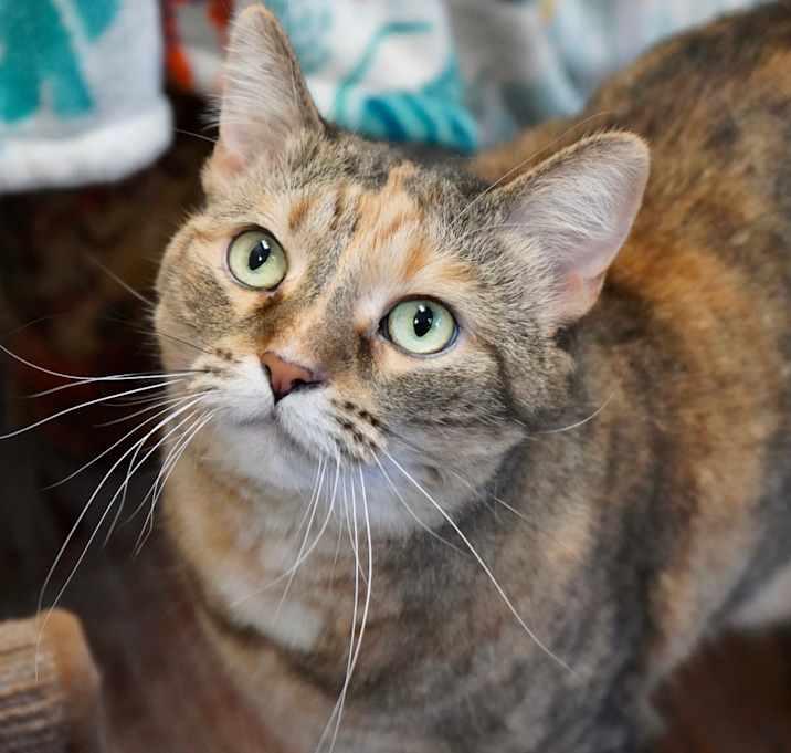 Photo of Bella Mae