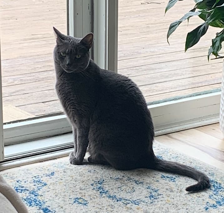 Photo of Luna
